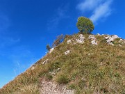MONTE GIOCO (1366 m) da Spettino Alto in solitaria-13ott26-FOTOGALLERY